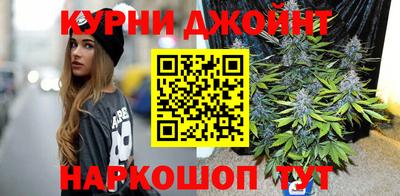 гашик Бийск