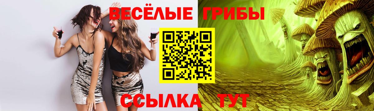 дарнет шоп  Галлюциногенные грибы мицелий  Вход с VPN  Кольчугино 
